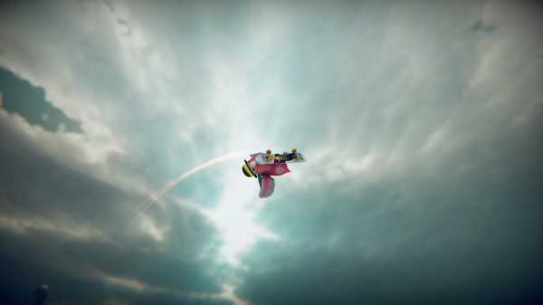 SkateBIRD gameplay screenshot
