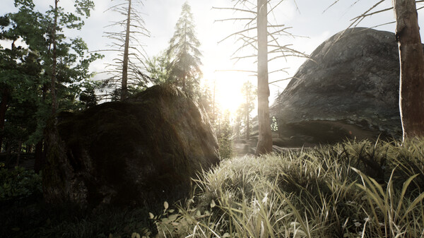 Skye: The Misty Isle gameplay screenshot