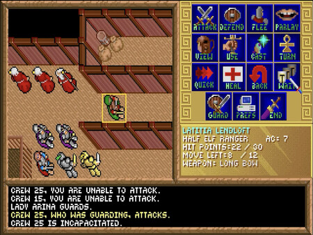 Spelljammer: Pirates of Realmspace gameplay screenshot