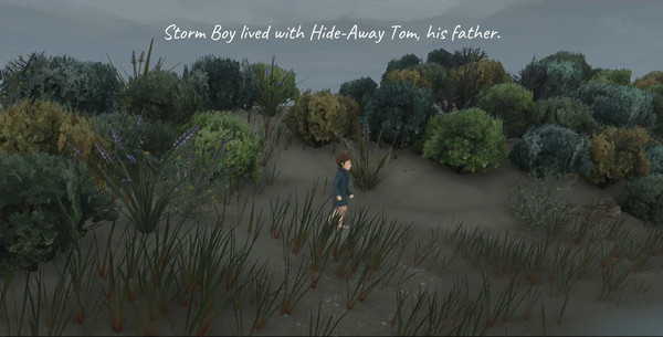 Storm Boy gameplay screenshot
