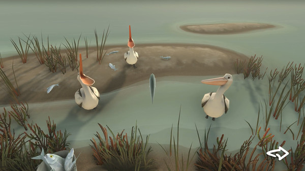Storm Boy gameplay screenshot