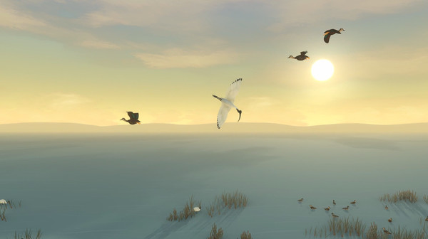 Storm Boy gameplay screenshot