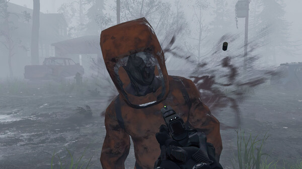 Survivor gameplay screenshot