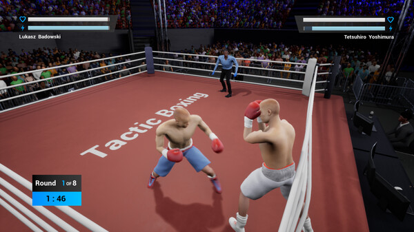Tactic Boxing gameplay screenshot