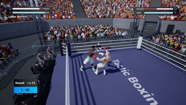 Tactic Boxing gameplay screenshot