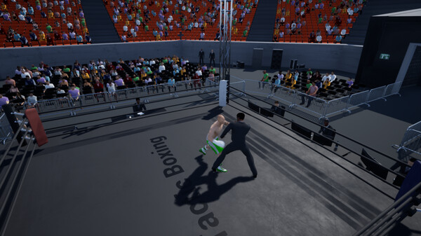 Tactic Boxing gameplay screenshot