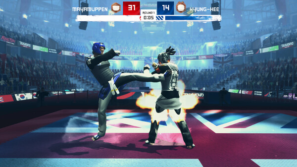 Taekwondo Grand Prix gameplay screenshot