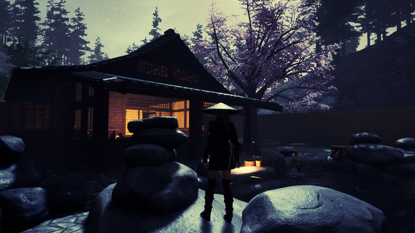 Tale of Ninja: Fall of the Miyoshi gameplay screenshot