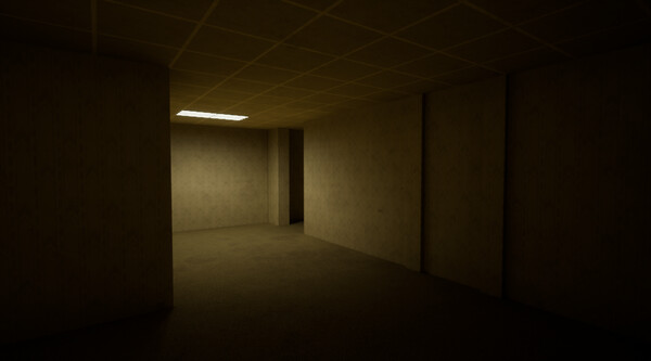 The Backrooms Deluxe gameplay screenshot