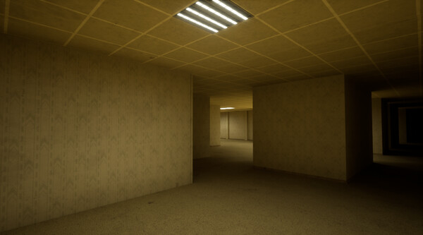 The Backrooms Deluxe gameplay screenshot