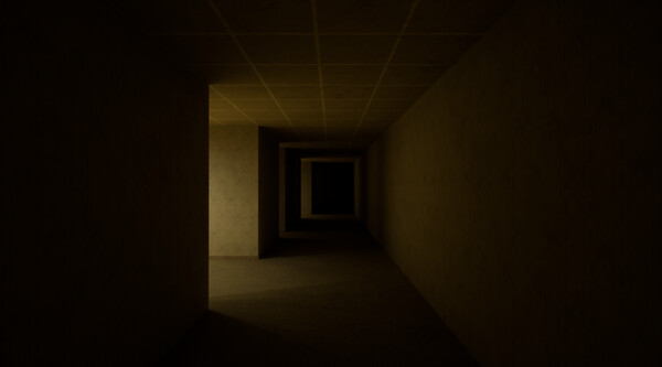 The Backrooms Deluxe gameplay screenshot