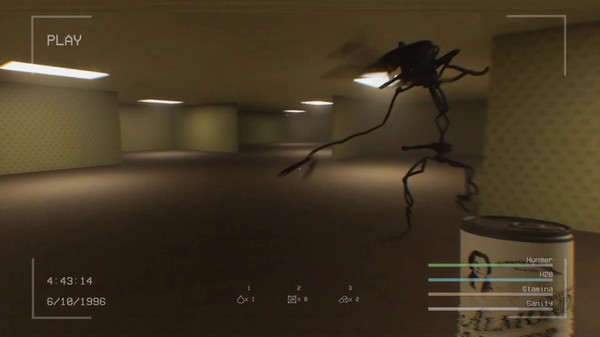 The Backrooms: Found Footage gameplay screenshot
