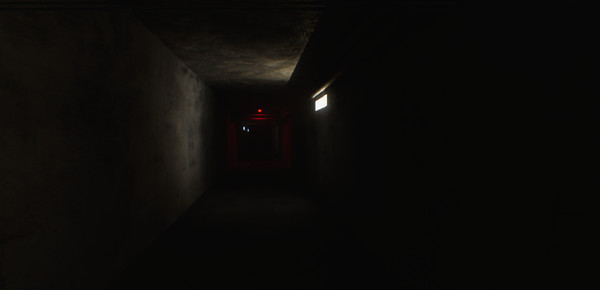 The Backrooms: Found Footage gameplay screenshot