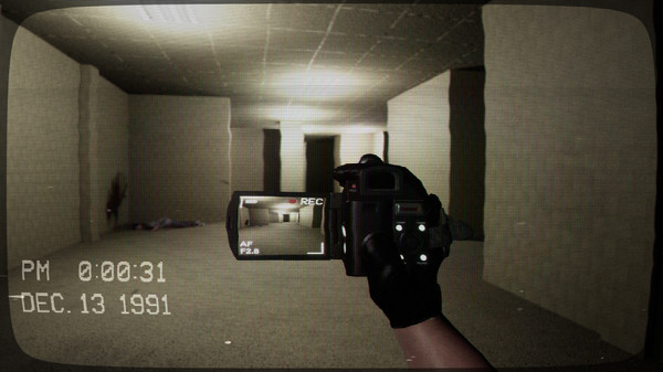 The Backrooms Project gameplay screenshot