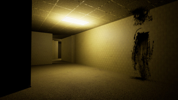 The Backrooms Project gameplay screenshot