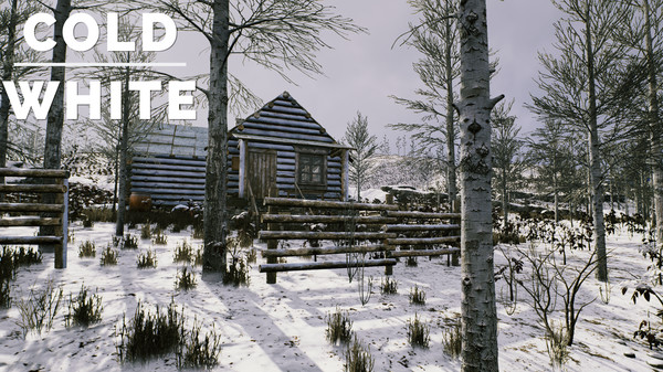 The Cold White gameplay screenshot