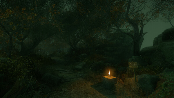 The Cursed Forest gameplay screenshot