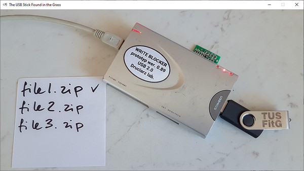 The USB Stick Found in the Grass gameplay screenshot