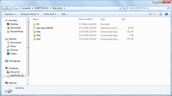 The USB Stick Found in the Grass gameplay screenshot