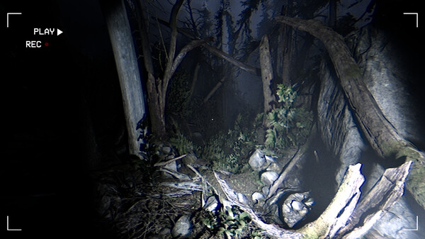 Together After Dark gameplay screenshot