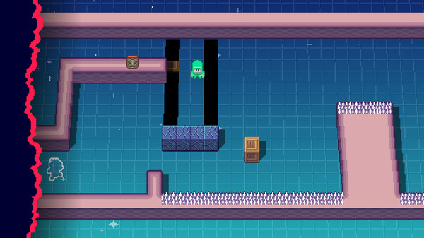 Toodee and Topdee gameplay screenshot