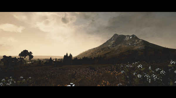 Total War: THRONES OF BRITANNIA - Rise and Fall of the Anglo-Saxons gameplay screenshot