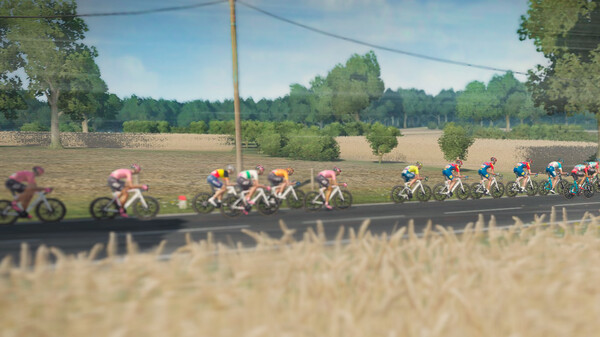 Tour de France 2024 gameplay screenshot