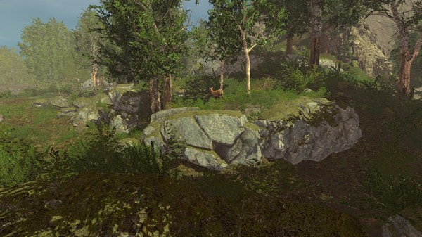 Trials of Wilderness gameplay screenshot
