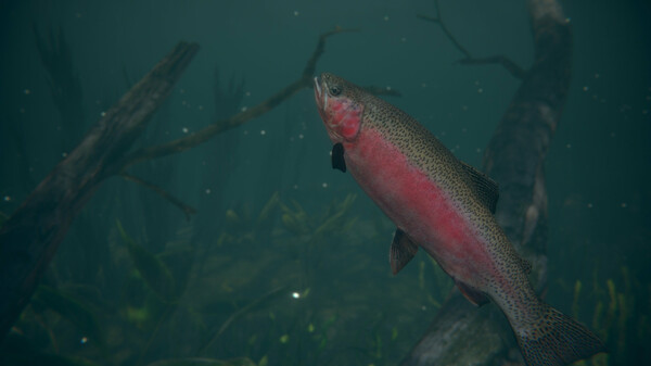 Ultimate Fishing Simulator 2 gameplay screenshot
