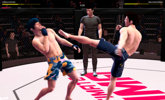 Ultimate MMA gameplay screenshot