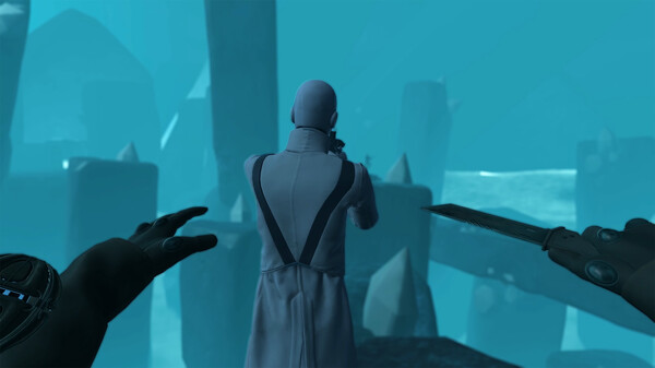VAIL VR gameplay screenshot