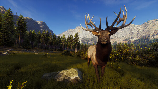 Way of the Hunter gameplay screenshot
