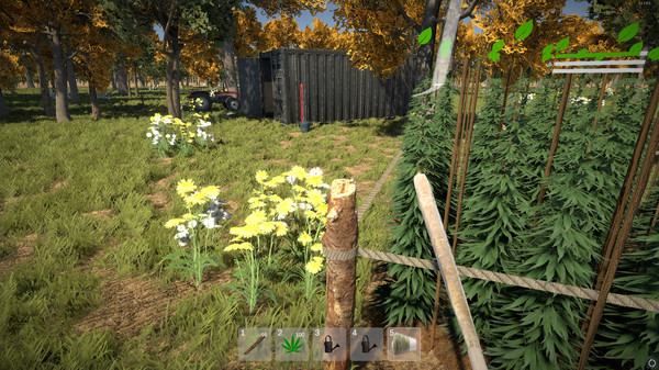 Weed Farmer Simulator gameplay screenshot