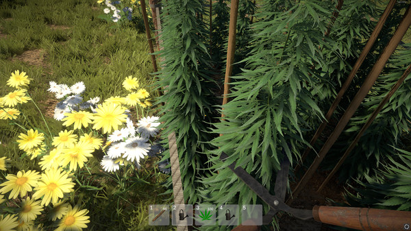 Weed Farmer Simulator gameplay screenshot