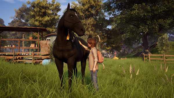 Windstorm: An Unexpected Arrival gameplay screenshot