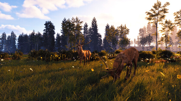 Windstorm: Start of a Great Friendship - Remastered gameplay screenshot