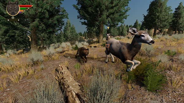 WolfQuest: Anniversary Edition gameplay screenshot