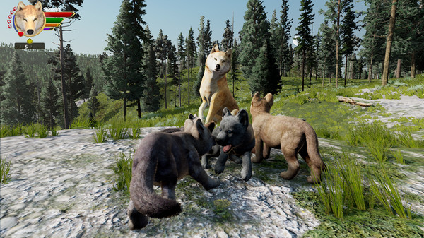 WolfQuest: Anniversary Edition gameplay screenshot