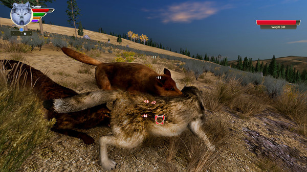 WolfQuest: Anniversary Edition gameplay screenshot