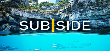 Subside cover